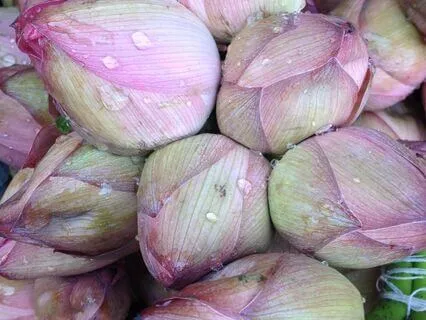 Yoga Nidra 8 - See Yourself