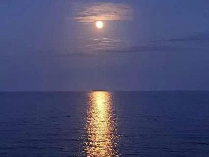 Yoga Nidra | 90-Min Fall Gently Into Sleep With Ocean Waves