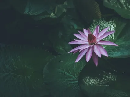 Yoga Nidra For Unconditional Acceptance