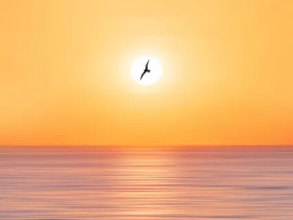 Yoga Nidra: A Deep Rest And Relaxation Practice