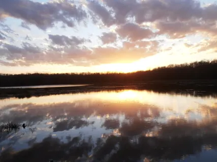 Yoga Nidra - A Grounding Sanctuary