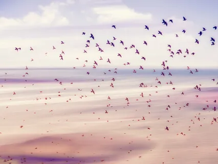 Yoga Nidra: A Journey Through The 5 Koshas 