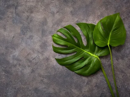 Yoga Nidra: A Moment Of Calm In Your Busy Day (12 Minutes)