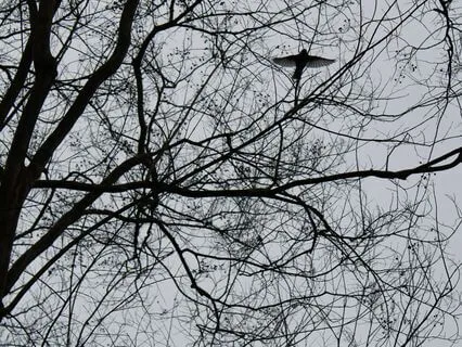 Yoga Nidra: A Practice Of Deep Rest