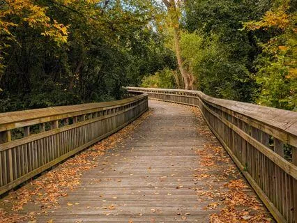 Yoga Nidra A Restful Journey Through The 5 Energy Bodies