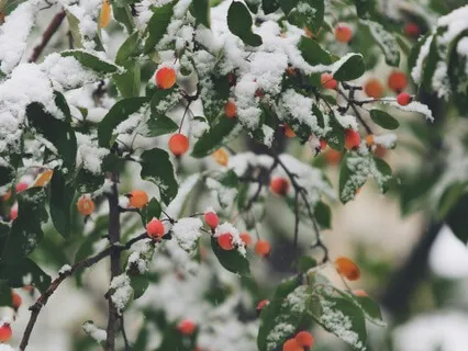 Yoga Nidra - A Winter Solstice Journey