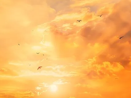 Yoga Nidra: Your Changing Nature | Rise From The Ashes