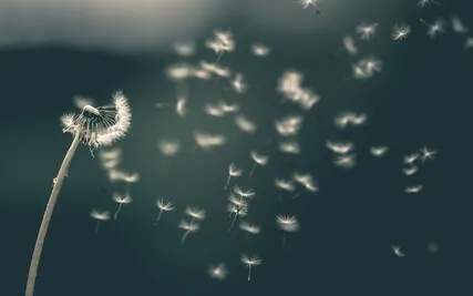 Yoga Nidra: Affirm 528 Hz