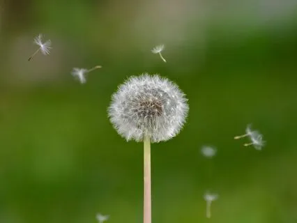 Yoga Nidra - Air Element