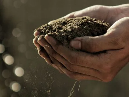 Yoga Nidra - Earth Element