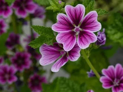 Yoga Nidra Aka Body Scan