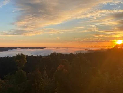 Yoga Nidra - Alchemy Of The Heart