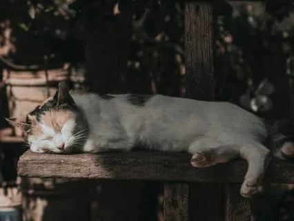 Yoga Nidra | All-night Track | Calming Male Voice