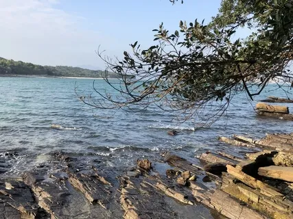 Yoga Nidra: Allowing