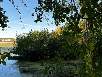 Yoga Nidra - An Ancestral Journey