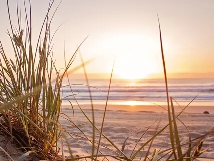 Yoga Nidra (An Excerpt From The Book Yoga Nidra By Swami Satyananda Saraswati)