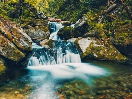 Yoga Nidra & Chakra Alignment