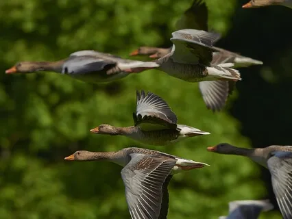 Yoga Nidra And Conscious Breathing - Being Enough