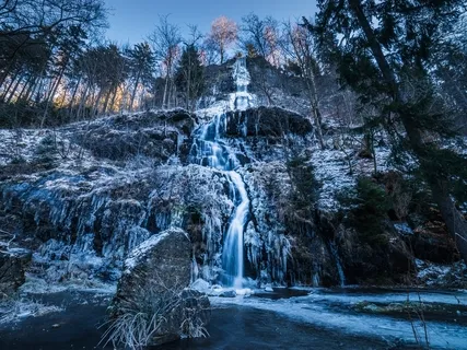 Yoga Nidra & Muscle Relaxation