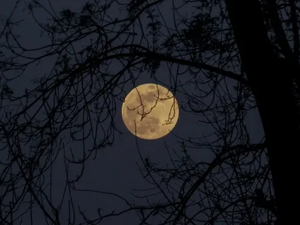 Yoga Nidra At The Full Moon