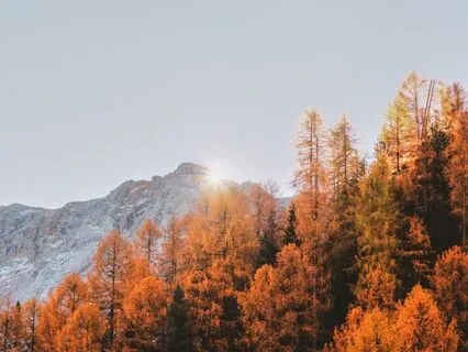 Yoga Nidra Autumn Attunement