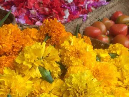 Yoga Nidra: Autumn Release