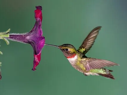 Yoga Nidra: Balance & Connect To Your Inner Seasons