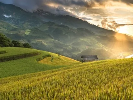 Yoga Nidra (bara röst)