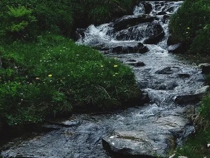 Yoga Nidra: Bathe In Nature