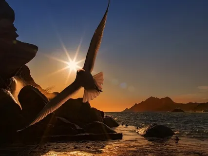 Yoga Nidra - Becoming Unstuck