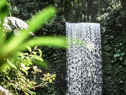 Yoga Nidra - Bike Ride To A Waterfall