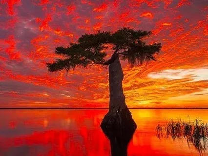 Yoga Nidra: Blue Star 61 Points Shavasana