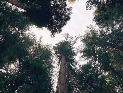 Yoga Nidra: Body Awareness And Relaxation