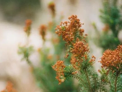 Yoga Nidra Body Gratitude | A Gentle Thank You To Your Body