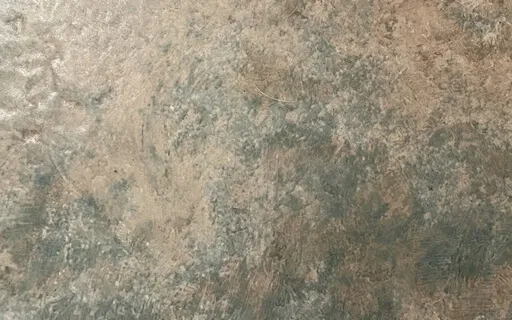 Yoga Nidra Body Scan  