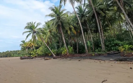 Yoga Nidra Body Scan 