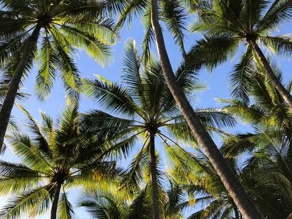 Yoga Nidra Body Scan For Relaxation