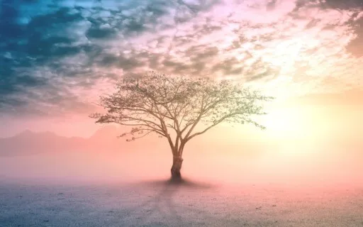 Yoga Nidra Body Scan For Sleep