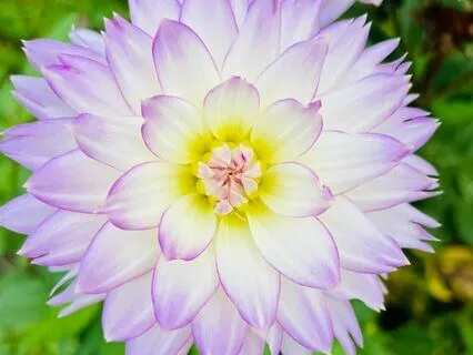 Yoga Nidra - Body Scan