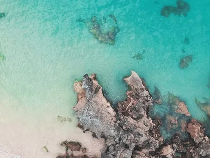 Yoga Nidra For Presence And Stillness