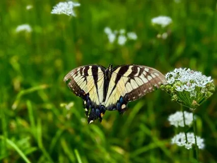 Yoga Nidra: Breathe And Relax