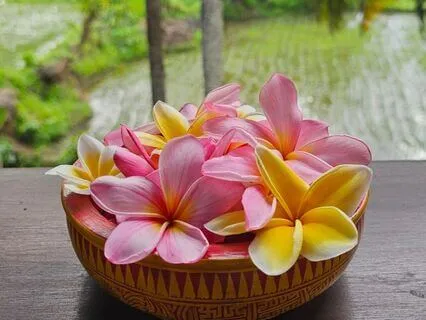 Yoga Nidra - Breathing In The Magic Of Bali 528hz