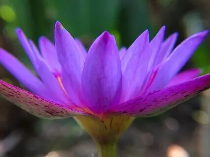 Yoga Nidra: Breathing Into Balance