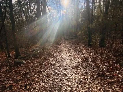 Yoga Nidra — Calm In The Midst Of Chaos