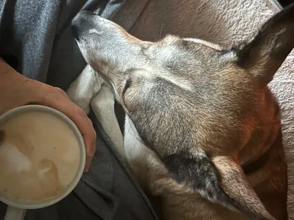 Yoga Nidra Chakra Exploration