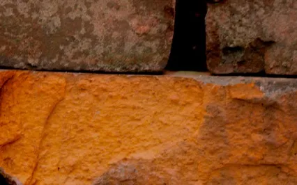 Yoga Nidra | Childhood Self