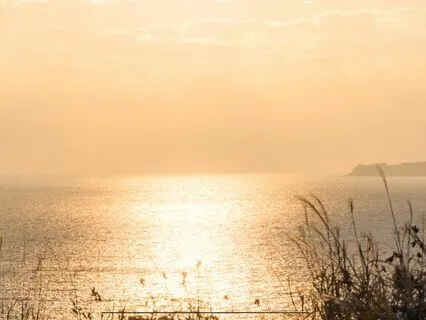 Yoga Nidra Circle Of Peace