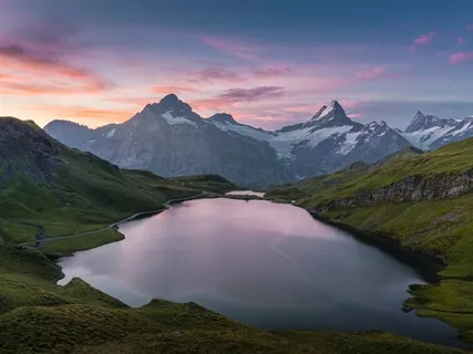 Yoga Nidra Collective Healing