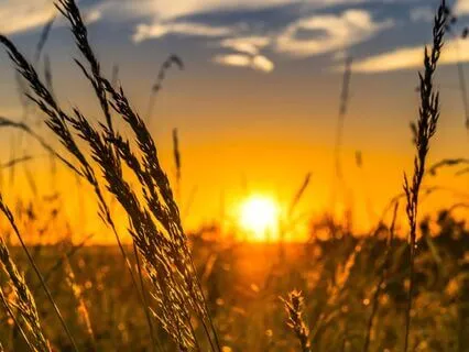 Yoga Nidra - Coming Home To Rest - 30 Mins