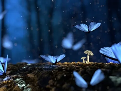 Yoga Nidra: Find Your Essence